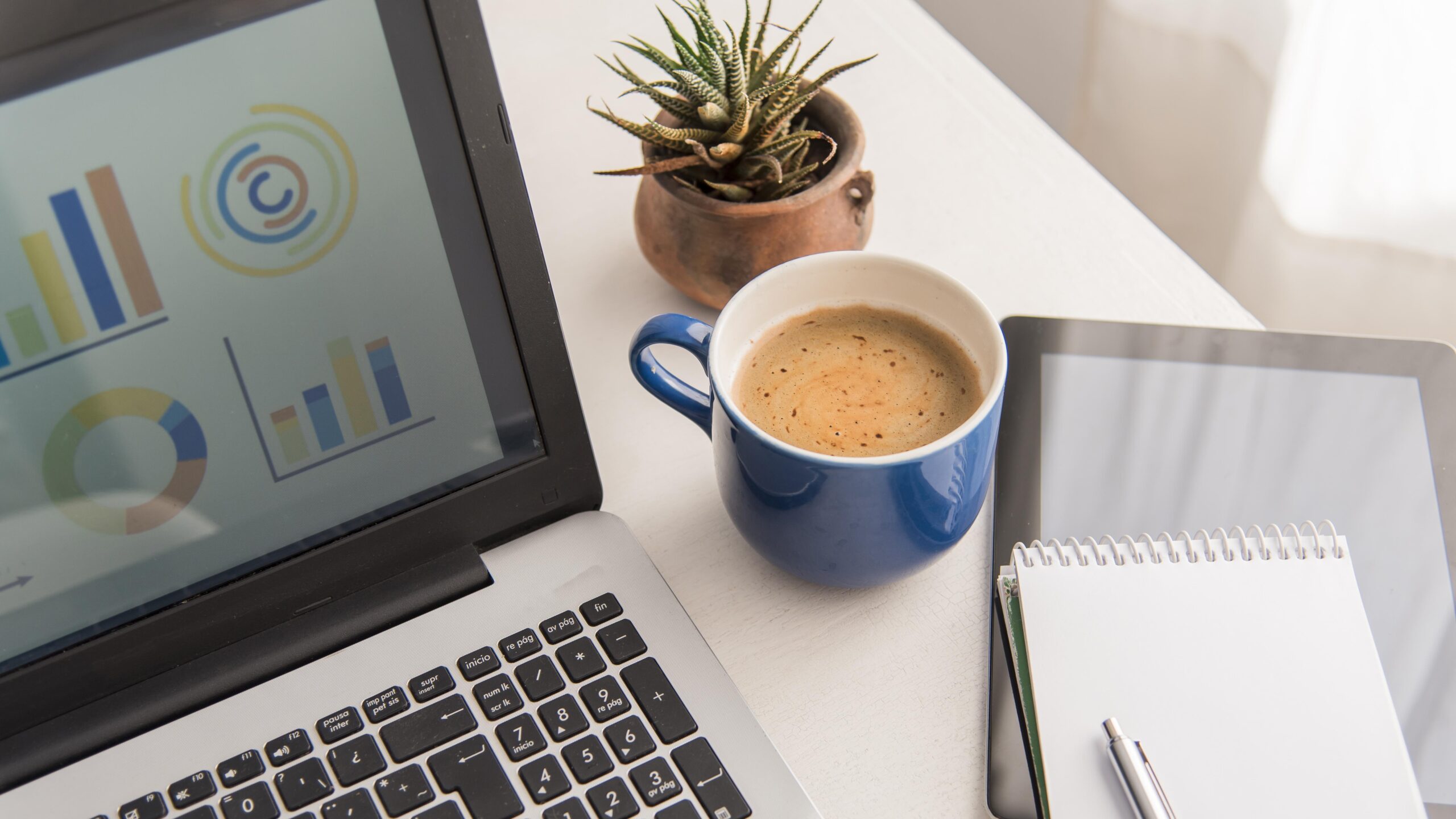 Freelance Digital Marketer in Kochi